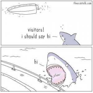 2.jpeg