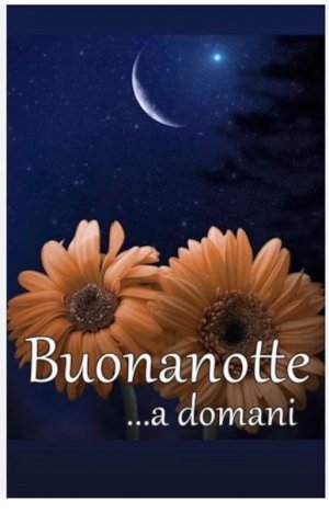 Buonanotte copy.jpg