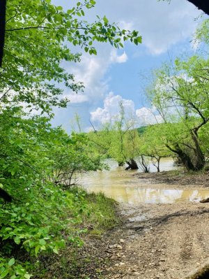 IMG_2637.jpeg IMG_2637.jpeg