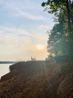 IMG_2665.jpeg IMG_2665.jpeg