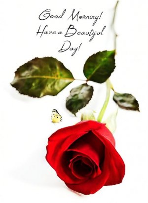 tumblr_1b9f7e95bd84f365811f65fdb8aee5d3_07c92062_1280.jpg