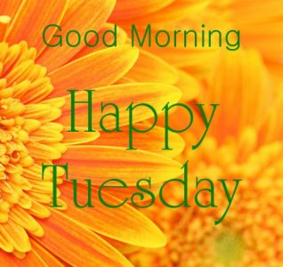 205940-Good-Morning-Happy-Tuesday-Image.jpg