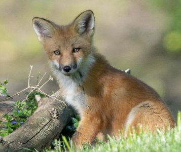 Screenshot 2024-05-07 at 7.42.35 AM.jpg