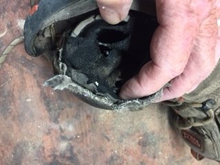 shoes 2.jpg shoes 2.jpg