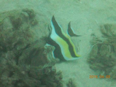 DSCN9473.JPG