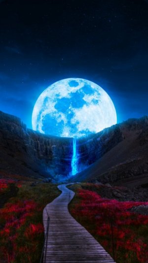 tumblr_28cfcd5e0e8c77407c5d987171c58075_40b3f1d4_1280.jpg