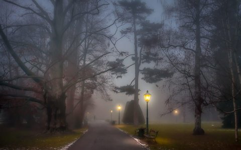 park-foggy-path-lamp-posts-benches-trees-night-wallpaper-preview.jpg