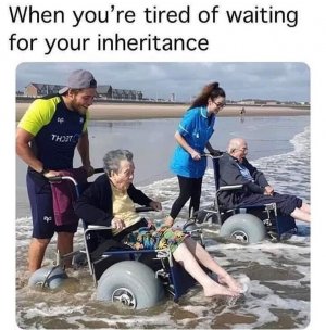 seniors ocean.jpeg