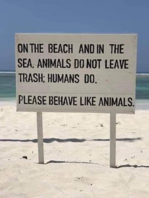 FB_IMG_1715337049230.jpg