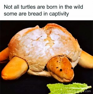all-you-can-eat-funny-memes-2-6434137b47b8f__700.jpg