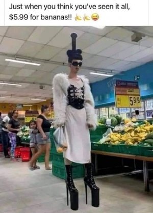 5.99.jpg
