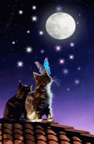 89FF0D63-C0D4-4E10-871E-D738F8E9E7E7.gif