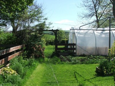 garden2024.jpg