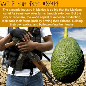 their-farms-back-by-arming-their-citizens-building-their-own-police-and-bulletproofing-their-t...jpg