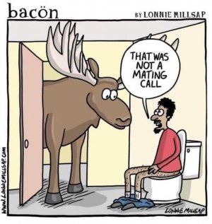 FB_IMG_1715491435831.jpg