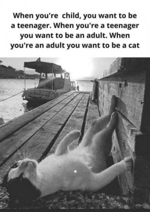 FB_IMG_1715487544125.jpg