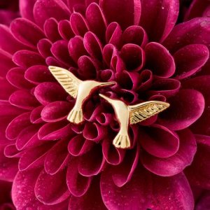 birds 1.jpg