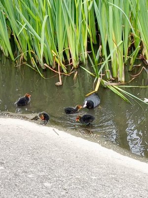 park9.jpg