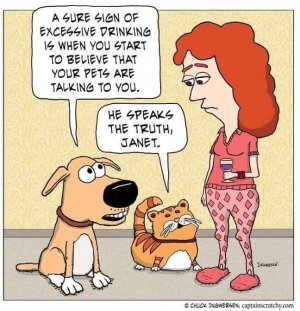FB_IMG_1715374426597.jpg