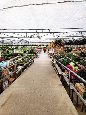 Huynh Farms.jpg