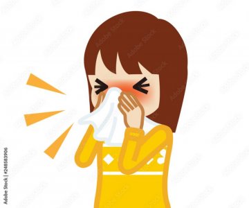 IMG_1312.jpeg IMG_1312.jpeg