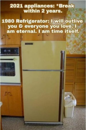 FB_IMG_1715395779068.jpg
