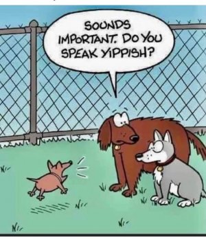 FB_IMG_1715632645406.jpg