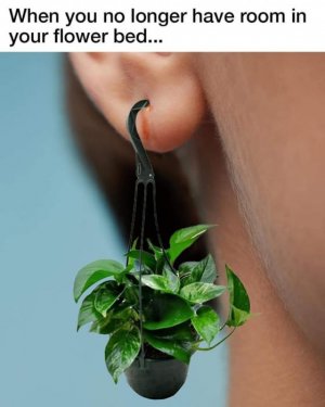 Ear Pots.jpg