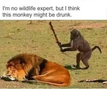a5f14ef65d7a0a8da27dbf812c26f936.jpg