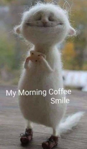 07D42210-D329-45B7-B44E-048ACA7F4560.jpeg