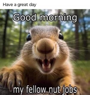 5FC5780F-172E-4E6A-BA9A-DDE3B62E284F.jpeg