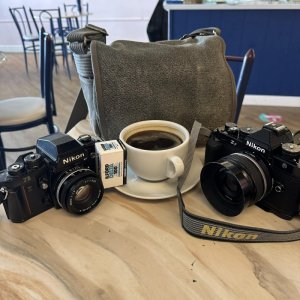 F3 and Zf.jpg