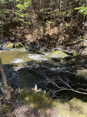 IMG_4377.jpeg