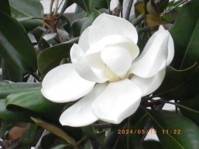 IMGP3823.JPG