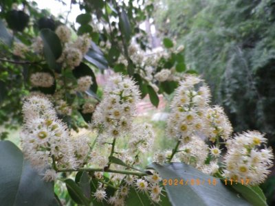 IMGP3816.JPG