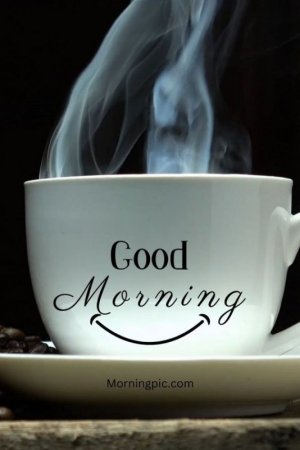 08ae685317248ff5d0245e5e35735d6e.jpg