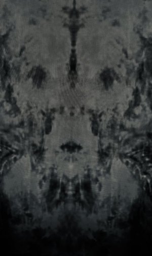 IMG_0282.jpeg