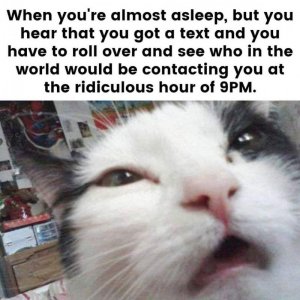 FB_IMG_1715651757946.jpg