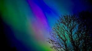 IMG_4404.jpeg