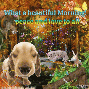 11323553_c1f04.gif