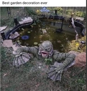 1000002186.jpg