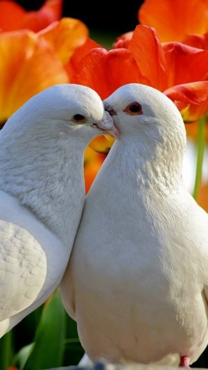 tumblr_651db292401a552c8e363b4e7070a5ab_c2c3cc65_1280.jpg