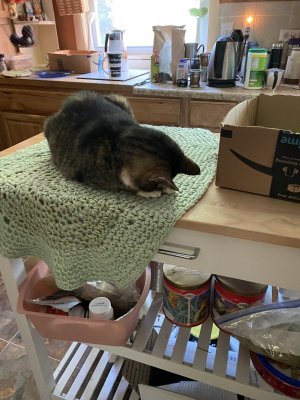 IMG_0049.jpeg