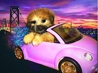 IMG_1007.jpeg