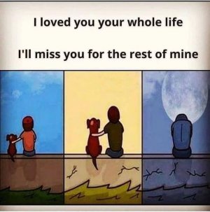 forever.jpg