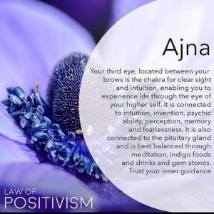 Chakra Laws of Positivism.jpg