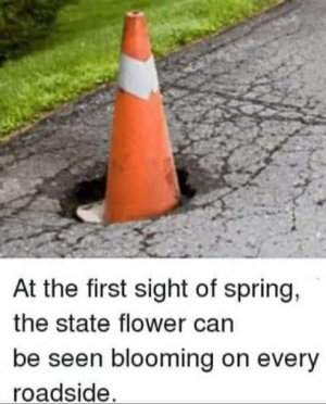 443820428_756686816451033_6186027838192680775_n.jpg