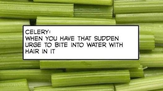 439255474_6928096290625629_7858931889447900405_n.jpg