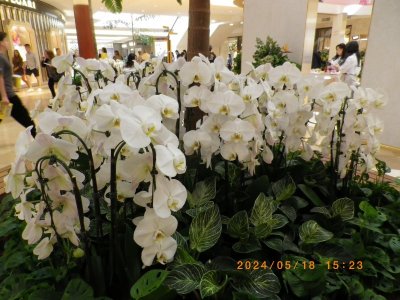 IMGP3897.JPG