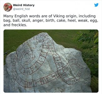 1367313878309298178-png__700.jpg